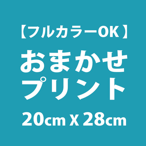 おまかせプリント 20cm x 28cm 以内