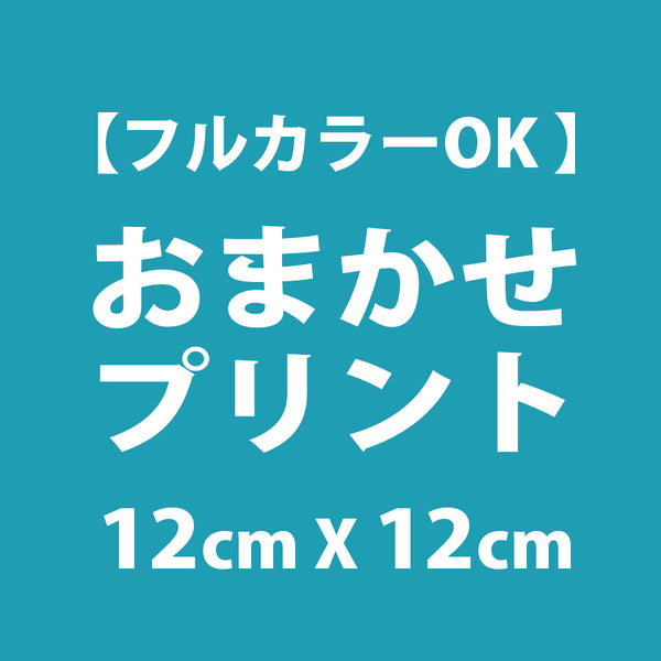 おまかせプリント 【ワンポイント】12cm x 12cm 以内